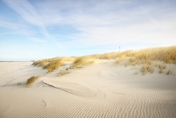 The shore (desert) of Anholt island under the bright blue sky with cirrus clouds. Sand dunes and plants (Ammophila) close-up. Environmental conservation, eco tourism theme. Kattegat, Denmark