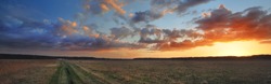 A pathway through the agricultural field under the colorful sunset cumulus clouds after the rain, golden sunlight. Dramatic cloudscape. Idyllic rural landscape. Picturesque panoramic scenery