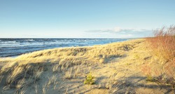 A view the Baltic sea shore at sunset. Sand dunes and plants (dune grass, Ammóphila) close-up. Waves and water splashes. Idyllic seascape. Early spring in Latvia. Ecotourism, environment, ecology