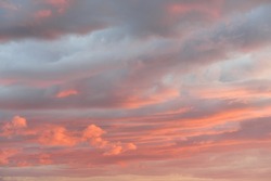 Sunset sky, glowing pink and golden clouds after the storm. Dramatic cloudscape. Concept art, meteorology, heaven, hope, peace, graphic resources, picturesque panoramic scenery