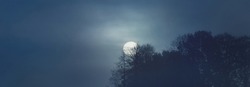 Full moon above the forest. Dark tree silhouettes. Mysterious fog and clouds. Creepy landscape. Concept image, fantasy, witchcraft, gothic, nightmare, mythology, silence