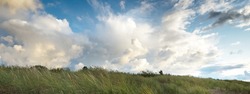 Blue sky with lots of glowing cumulus clouds above the Baltic sea shore after thunderstorm at sunset, green dune grass close-up. Idyllic landscape. Warm sunlight. Travel destinations, eco tourism