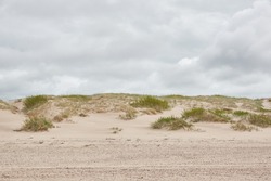 Baltic sea shore. Beach, sand dunes, dune grass, plants. Dramatic sky, glowing storm clouds. Idyllic landscape. Nature, vacations, recreation, eco tourism