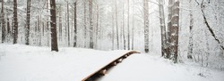 Modern wooden walkway (boardwalk) through the snow-covered forest after a blizzard. Winter landscape. Nordic walking, skiing, ecotourism. Christmas vacations, local travel during lockdown in Europe