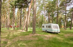 Caravan trailer parked on a green lawn in the evergreen pine forest. Travel destinations, leisure activity, eco tourism, camping site, transportation, RV. Freedom, wanderlust concept