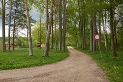 Rural road through the forest village. Soft sunlight. Spring, early summer. Environment, ecology, nature, tourism, walking, cycling, hiking, lifestyle. Idyllic landscape
