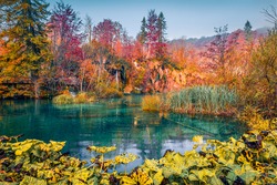 Colorful autumn scenery. Splendid morning view of pure water waterfall in Plitvice National Park. Stunning autumn scene of Croatia, Europe. Beauty of nature concept background.