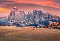 Fantastic autumn sunrise on Alpe di Siusi mountain plateau with beautiful yellow larch trees and Langkofel (Sassolungo) mountain on background. Amazing morning view of Dolomite Alps, Italy, Europe.