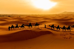 Sahara desert Silhouette of Camels caravan of tourists riding over sand dune against sunrise, travel destination in Merzouga, Morocco