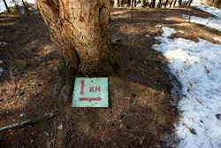 A sign indicating the length of the tourist route 1 kilometer lying on the ground thawed from snow in the forest in mid-spring.