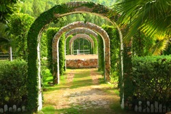 Pergola and plant in a garden ,at western Thailand