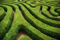 Spiral hedgerow maze