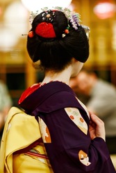 Maiko apprentice showing Japanese traditional dance. Maiko is an apprentice geisha. Maikos performing songs, playing shamisen or instruments for visitors on ozashiki.