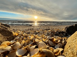 Sea shells on sand. sea waves on the golden sand at beach. Sunset on tropical island, ocean beach.
