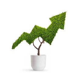 Plant growing in the shape of an arrow isolated on white background