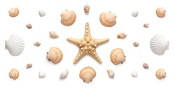 High angle, panoramic view of starfish and seashells isolated on white background 