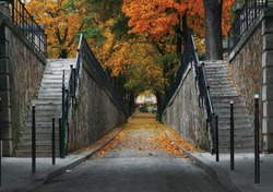 Autumn park with road scenic (perspective alley with two stone stairs and archway). Montmartre Cemetery. Paris, France