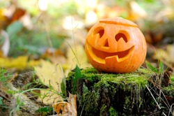 Halloween scary pumpkin with a smile in autumn forest