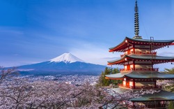 Red Pagoda and Cherry Blossom with Mt Fuji at the background