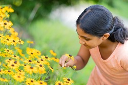 Little Girl Admiring Sunflowers in a Garden