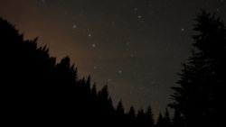Ursa Major constellation seen above a coniferous forest in the night sky. Star watching can be a beautiful outdoor activity while camping.
