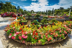 The City flower garden in Dalat, Vietnam