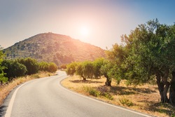 Road between the mountains and groves of olive trees. Beautiful summer landscape at sunset. Elounda, Crete island, Greece