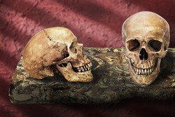 Still life art manipulated on death concept with skulls on floating marble table