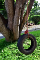 An empty car tire used as a swing on a tree in the garden. Concept photo of childhood, nostalgia, memory , past, life, retro, vintage, home sweet home. No people. Copy space