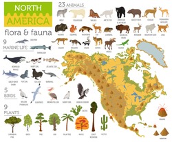 North America flora and fauna map, flat elements. Animals, birds and sea life big set. Build your geography infographics collection. Vector illustration