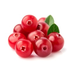 Fresh cranberries with leafs close up on white backgrounds.
