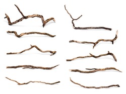 Collection of dry twigs isolated on white background.