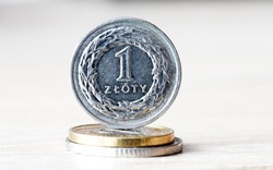 Polish currency with zloty coins