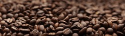 Coffee beans. Macro coffee beans background. Selective focus. Roasted seeds Shallow depth of field. Panoramic Hi-res banner.