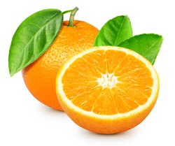 Orange fruits isolated on white background. Orange Fruit