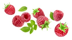 Flying raspberry fruits and raspberry leaves. Raspberry with leaves isolated on a white background. Collection Clipping path.