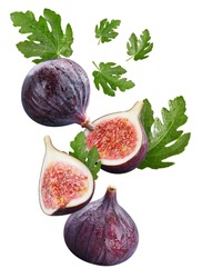 Fresh fig isolated on white background. Ripe natural fig clipping path. Flying figs with green leaves