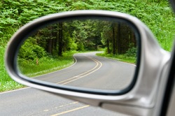 Side view mirror reflection of two-lane winding road in forest