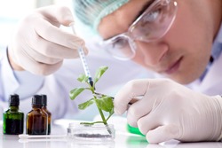 Biotechnology concept with scientist in lab