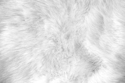 white artificial fur texture