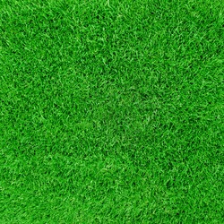 Green football field grass