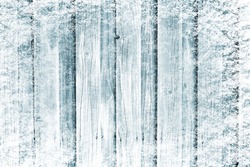 Frozen wooden in snow surface
