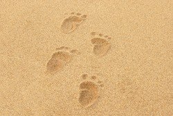 Baby Footprints in the sand of a beach