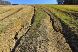 Massive soil erosion landscape field and road destruction by erosive process of water, environmental damage.