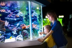 Happy laughing boy and his adorable toddler sister, cute little curly girl watching fishes in a tropical aquarium with coral reef wild life having fun together on a day trip to a modern city zoo