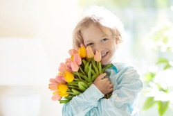  Mother’s day greeting. Child with flower bouquet. Little boy with bunch of tulips. Gift for mom. Spring birthday present. Kid in sunny living room holding dozens of flowers for mother.