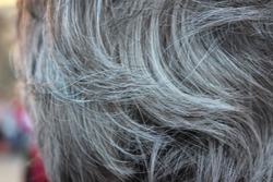 gray hair 