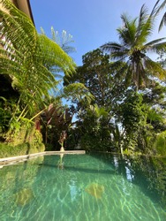 Swimming pool with Tropical plants and palm trees