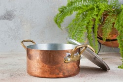 Old copper casserole with lid and brass handles and green plant in copper flower pot on a concrete background. Copy space for text. Food photography props.