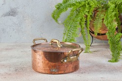 Old copper casserole with lid and brass handles and green plant in copper flower pot on a concrete background. Copy space for text. Food photography props.